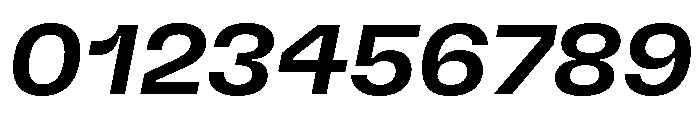 GTFlexa ExtMdIt Font OTHER CHARS
