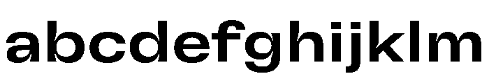 GTFlexa ExtMd FONT