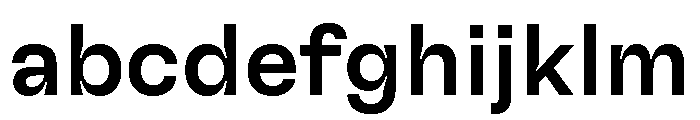 GTFlexa Md 2 FONT