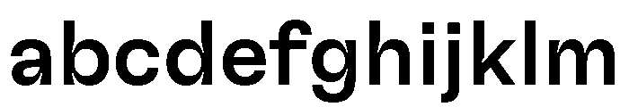 GTFlexa Md FONT