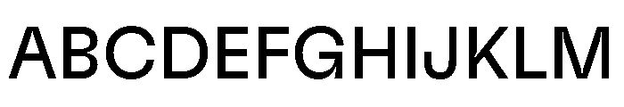 GTFlexa Rg Font UPPERCASE