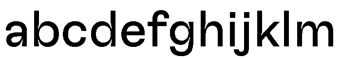 GTFlexa Rg FONT
