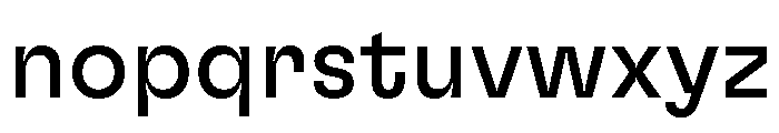GTFlexa Rg Font LOWERCASE