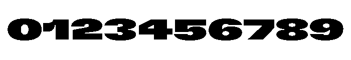 GTFlexa XExpBl Font OTHER CHARS