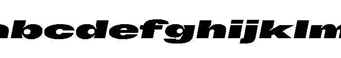 GTFlexa XExpBlIt 2 FONT