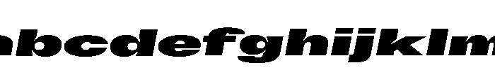 GTFlexa XExpBlIt FONT