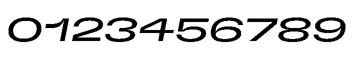 GTFlexa XExpRgIt Font OTHER CHARS