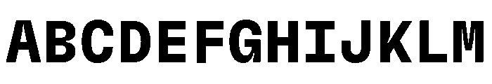 GTFlexaMono Bd Font UPPERCASE