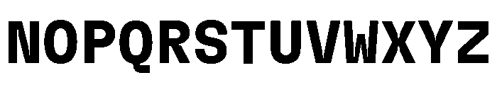 GTFlexaMono Bd Font UPPERCASE