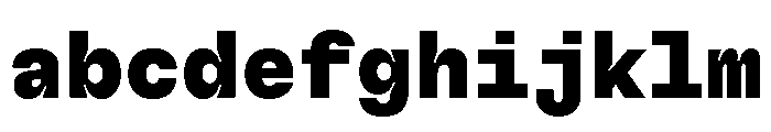 GTFlexaMono Bl FONT