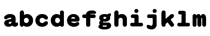GTMaruMono Black FONT