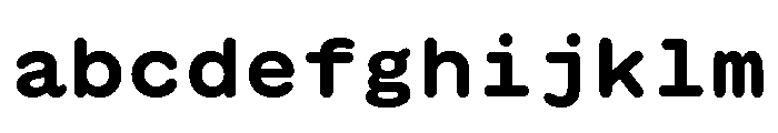 GTMaruMono Bold FONT