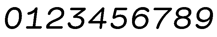 GTMaruMono RegularOblique Font OTHER CHARS