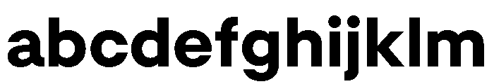 GTMechanikPoly Heavy FONT