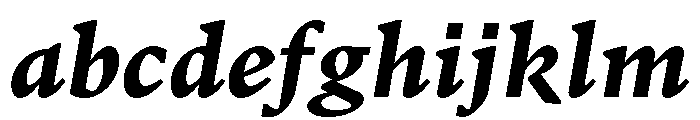 GTPantheonMicro BlackItalic 2 FONT