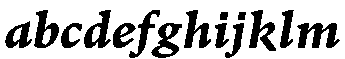 GTPantheonMicro BlackItalic FONT