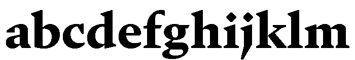 GTPantheonText Black FONT