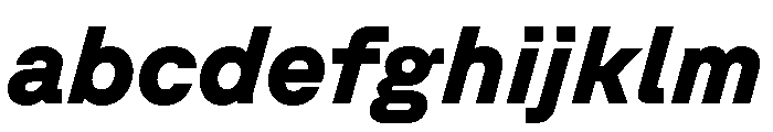 GTPlanar Italic15Black 2 FONT