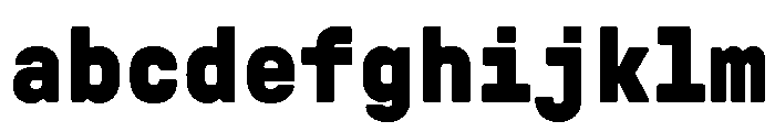 GTPressuraLCGVMono Black 2 FONT