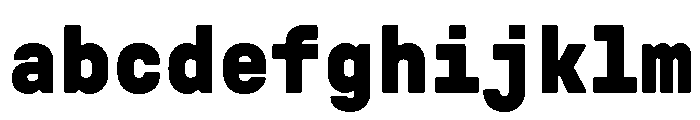 GTPressuraLCGVMono Black FONT
