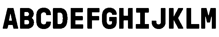 GTPressuraLCGVMono Bold Font UPPERCASE