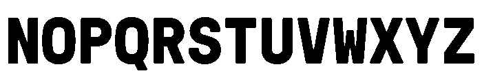 GTPressuraLCGVMono Bold Font UPPERCASE