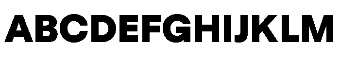 GTStandard LBlack Font UPPERCASE