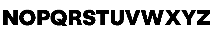 GTStandard LBlack Font UPPERCASE