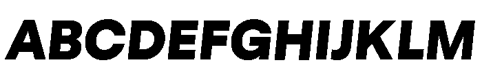 GTStandard LBlackOblique 2 Font UPPERCASE
