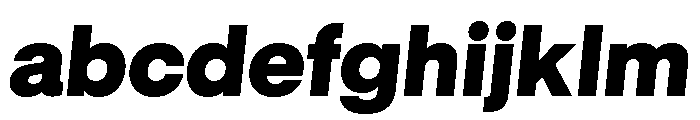 GTStandard LBlackOblique 2 FONT