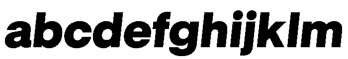 GTStandard LBlackOblique FONT