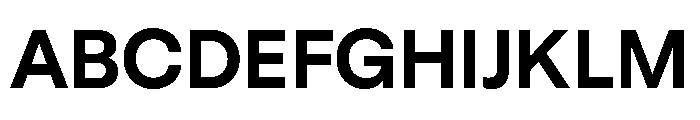 GTStandard LBold 2 Font UPPERCASE