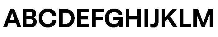 GTStandard LBold Font UPPERCASE