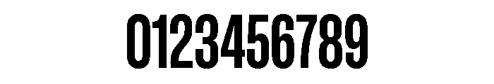 GTStandard LCondensedBold 2 Font OTHER CHARS