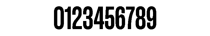 GTStandard LCondensedBold Font OTHER CHARS