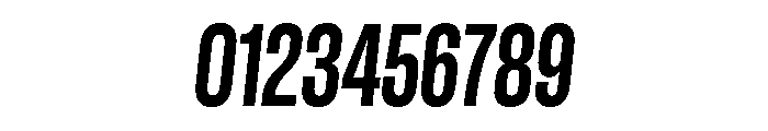 GTStandard LCondensedBoldOblique Font OTHER CHARS