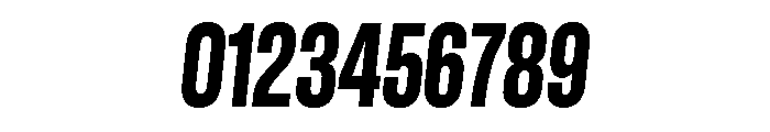 GTStandard LCondensedHeavyOblique Font OTHER CHARS