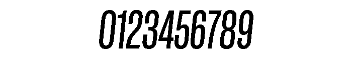 GTStandard LCondensedMediumOblique Font OTHER CHARS