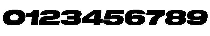 GTStandard LExpandedBlackOblique 2 Font OTHER CHARS