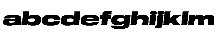 GTStandard LExpandedBlackOblique 2 FONT