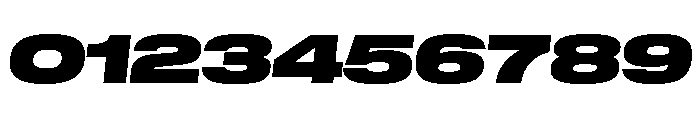 GTStandard LExpandedBlackOblique Font OTHER CHARS