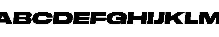 GTStandard LExpandedBlackOblique Font UPPERCASE