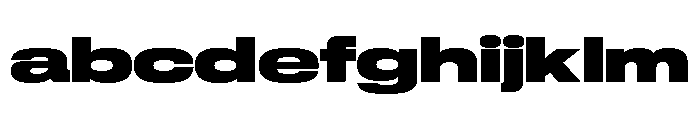 GTStandard LExpandedBlack FONT