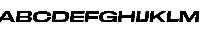 GTStandard LExpandedBoldOblique 2 Font UPPERCASE