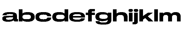 GTStandard LExpandedBold FONT