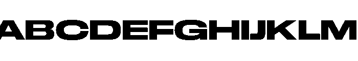 GTStandard LExpandedHeavy 2 Font UPPERCASE