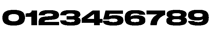 GTStandard LExpandedHeavy Font OTHER CHARS