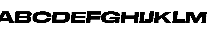GTStandard LExpandedHeavyOblique 2 Font UPPERCASE