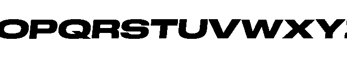 GTStandard LExpandedHeavyOblique 2 Font UPPERCASE