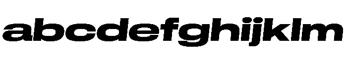 GTStandard LExpandedHeavyOblique 2 FONT